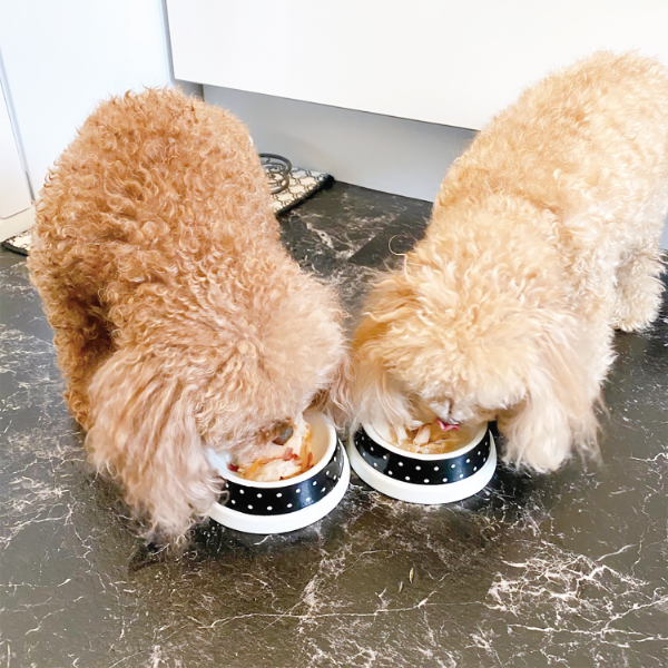 猫 犬 おやつ ペットフード マルトモ かつおだいすき プレミアム 30g×5袋 鰹節 高たんぱく 低脂肪 国産 国内加工 保存料 着色料 不使用 大容量 お徳用 伊予市｜B122