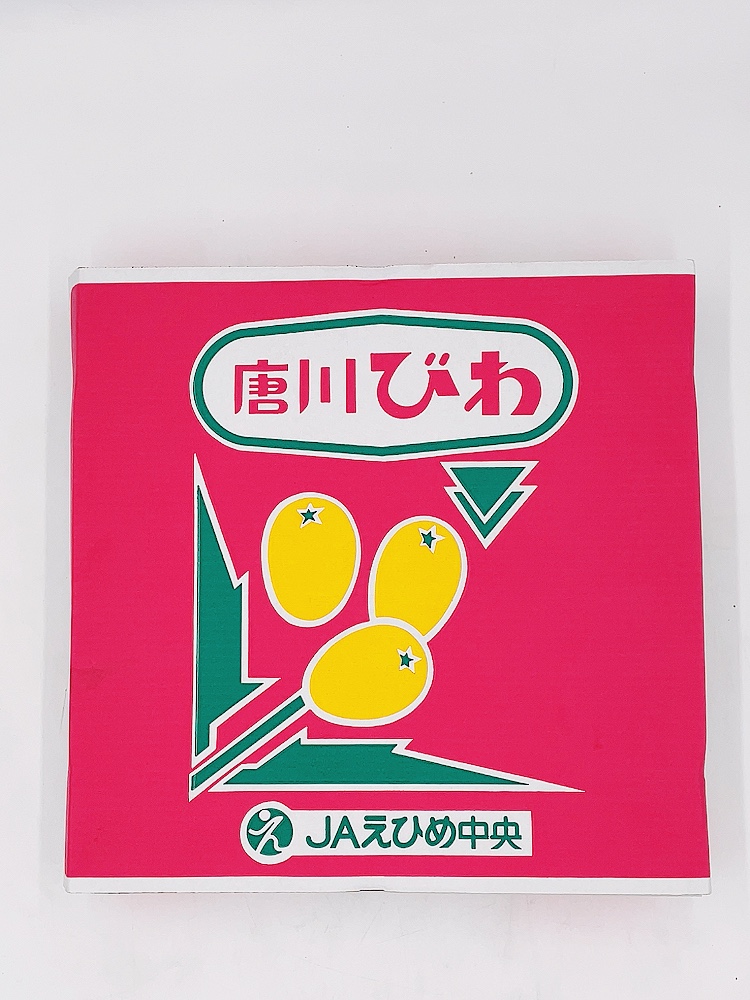 びわ 唐川びわ 先行予約 350g×6パック入り【2026年5月下旬以降発送】｜B124