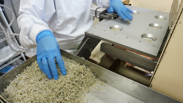 そのまんまちりめん 10個セット 国産 ちりめん せんべい カタクチイワシ カルシウムたっぷり オカベ｜B132