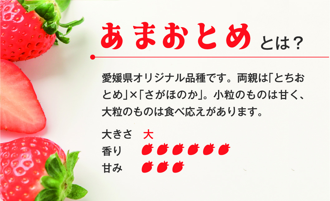 いちご さちのか・あまおとめ食べ比べセット 数量限定 農園直送 愛媛 人気 伊予市 くぼなか農園 ｜B14