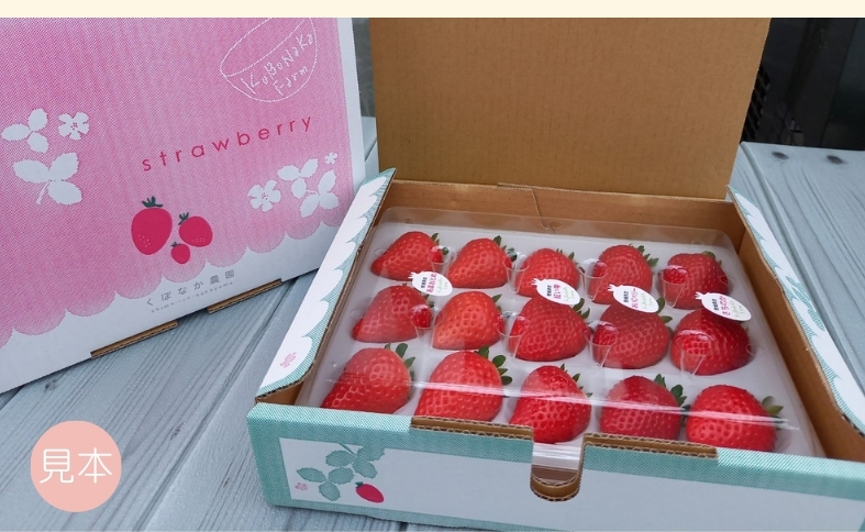 いちご 高級 ぜいたく いちご狩り気分 ランダム 4品種食べ比べセット あまおとめ 紅い雫 さちのか おいCベリー スターナイト かおり野 みくのか 数量限定 農園直送 ギフト 愛媛 人気 伊予市 くぼなか農園｜B15