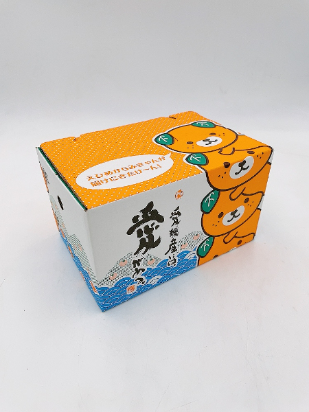 中山栗 L～4Lサイズ 3kg 愛媛県ブランド 大粒 濃厚な甘み ホクホク 焼き栗 栗ごはん 中山町 伊予市 愛媛 | B158