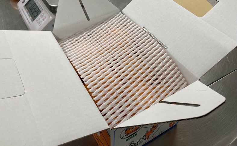 みかん 愛媛 せとか（約2.5kg）L～3Lサイズ ご家庭用 バラ詰め 【2月中旬から順次発送予定】 人気 数量限定 先行予約 みきゃん箱 柑橘 伊予市｜B192