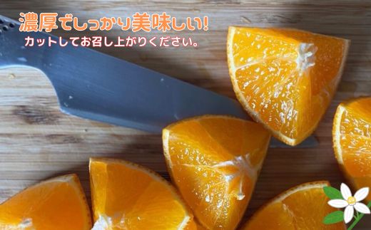 せとか 3kg ご家庭用 みかん 愛媛 先行予約 【2026年2月上旬から順次発送】 数量限定 愛媛県産 人気 柑橘 伊予市｜B244
