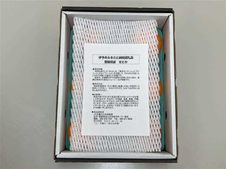 みかん 愛媛 せとか（1.5kg） 人気 数量限定 先行予約 【2026年2月下旬以降発送】 柑橘 伊予市｜B30