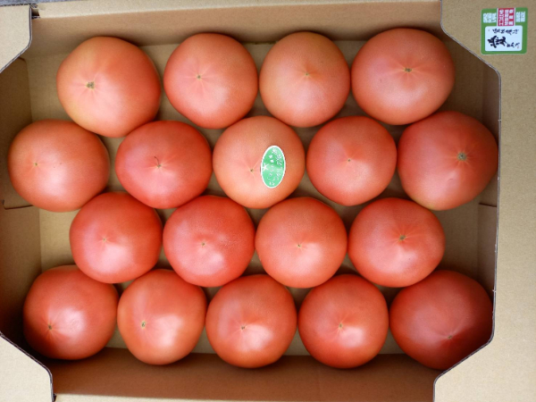 トマト 4kg 20玉～28玉 麗月 産地直送 野菜 新鮮 サラダ 赤熟 くぼなか農園 愛媛 伊予市 | B362