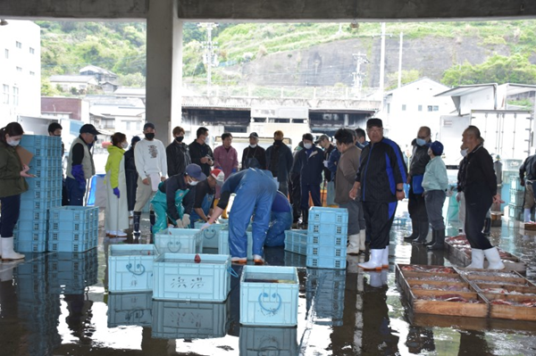 活〆鱧短冊300g×2 冷凍 鱧 ハモ 鱧短冊 北風鮮魚 愛媛県 伊予市 | B396