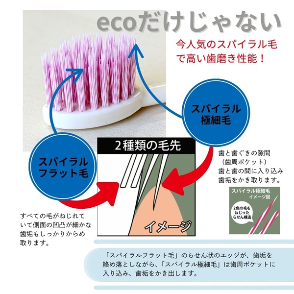 歯ブラシ お米歯ブラシ ライスクリーン やわらかめ 6本 【3色×2本】 お米でできた歯ブラシ オーラルケア ハブラシ 山陽物産｜B440