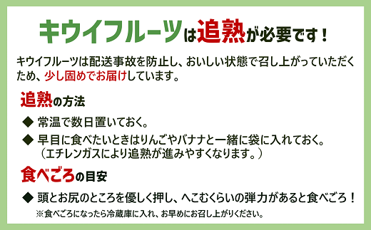 ご家庭 キウイ 3kg 愛媛 国産キウイフルーツ ヘイワード 【2025年11月以降発送】 数量限定 伊予市｜B442