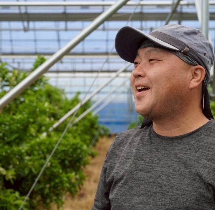 みかん 甘平 3kg ご家庭用 バラ詰め 愛媛 【2026年2月から順次発送予定】 数量限定 柑橘 フルーツ 国産 伊予侍ファーム 伊予市｜B458