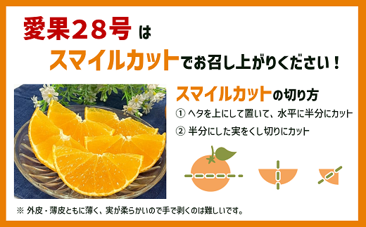 みかん 愛果28号 1.8kg 6玉 贈答用 紅まどんな同一品種 先行予約 【2026年12月以降順次発送予定】 愛媛 数量限定 愛媛県産 人気 柑橘 フルーツ 国産 おすすめ 伊予市｜B534