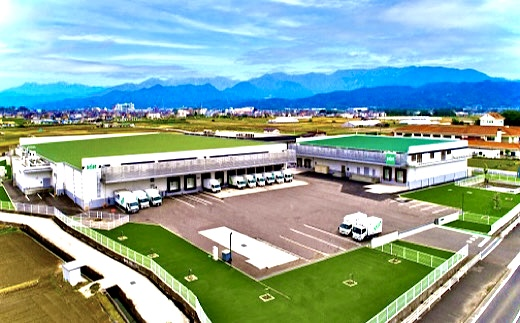 スモークチキン 国産 4個セット ムネ モモ ギフト 贈答用 松山どり 惣菜 鶏 鶏肉 愛媛県産 Bejoy｜B79