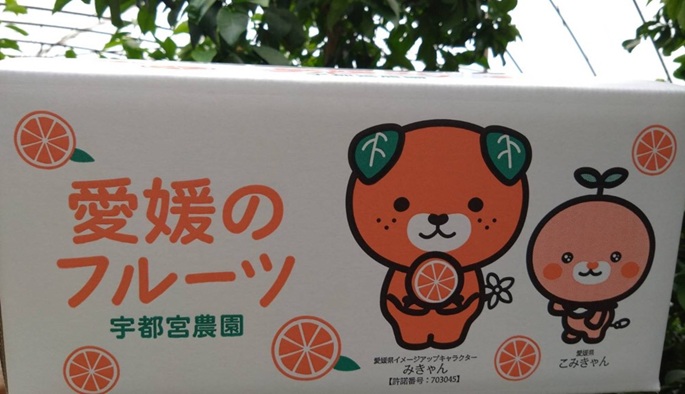 甘平 みかん 愛媛 バラ詰め 約5kg 人気 数量限定 先行予約 【2026年2月上旬以降発送】 柑橘 愛媛県産 伊予市｜C131