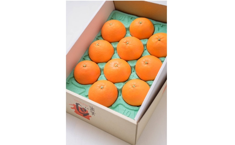 愛果28号 10玉入り 紅まどんな同一品種 先行予約 12月以降順次発送予定 愛媛 数量限定 愛媛県産 人気 柑橘 伊予市｜C56