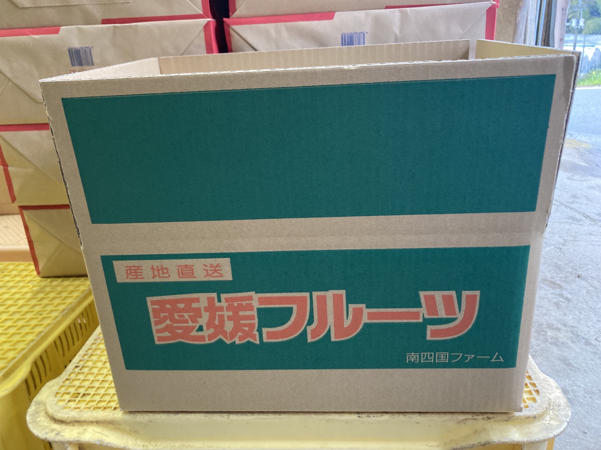 【2026年3月発送予定】愛果48号 5kg 紅プリンセス同一品種 農園直送 みかん 愛媛 人気 数量限定 先行予約 柑橘 伊予市｜C93