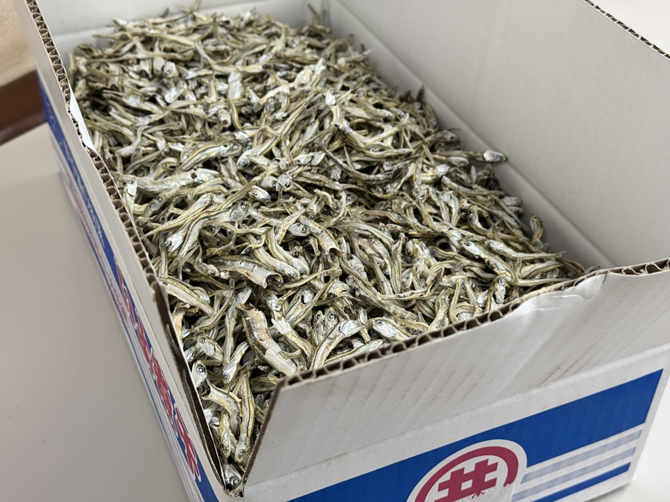 伊予煮干 いりこ 7kg 【10月以降発送】 伊予灘産 瀬戸内海 出汁 料理 おやつ カルシウム 健康 サクサク食感 海の幸 海産物 乾物 魚介類 おつまみ 保存食 特産品 愛媛 伊予市｜D47