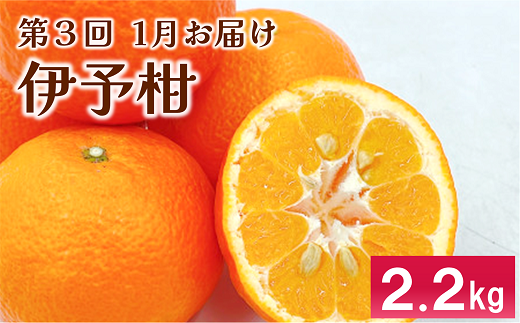 伊予市 特産定期便 全3回 中山栗・紅まどんな・伊予柑｜D48