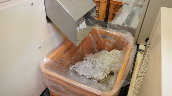 そのまんまちりめん 10個セット 国産 ちりめん せんべい カタクチイワシ カルシウムたっぷり オカベ｜B132