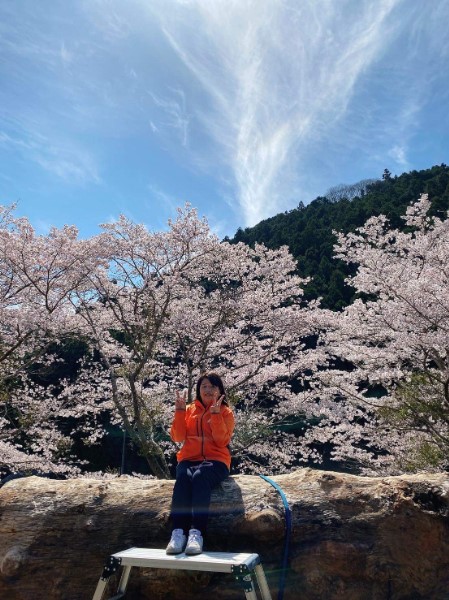 ジュース ギフト みかん 2本 愛果28号  農薬不使用 肥料不使用 みかんジュース 愛媛 果汁100％ 陽だまり娘 数量限定 柑橘 ストレート 伊予市｜B240