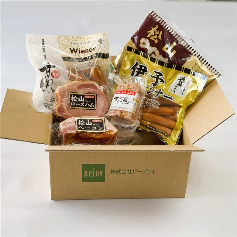 松山スモークセットB 国産 ギフト 贈答用 松山どり 愛媛県産 Bejoy｜B248