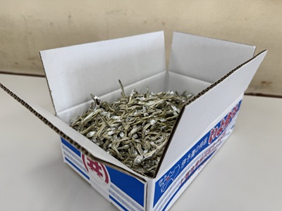 伊予煮干 いりこ 1kg 【10月以降発送】 伊予灘産 瀬戸内海 出汁 料理 おやつ カルシウム 健康 サクサク食感 海の幸 海産物 乾物 魚介類 おつまみ 保存食 特産品 愛媛 伊予市｜B421