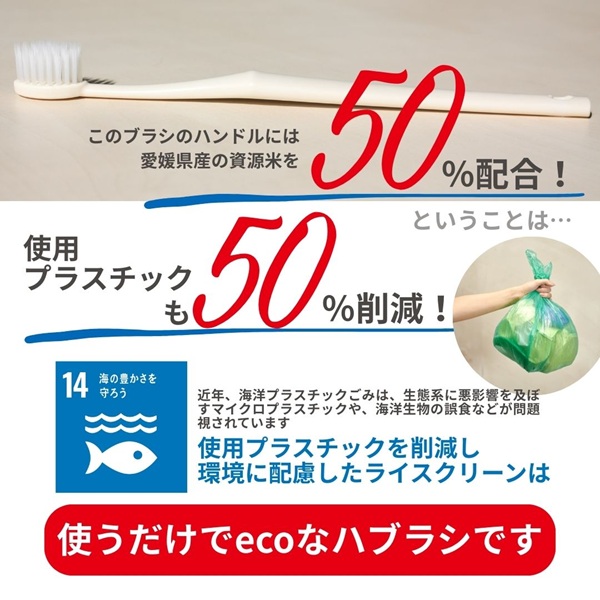 歯ブラシ お米歯ブラシ ライスクリーン やわらかめ 6本 【3色×2本】 お米でできた歯ブラシ オーラルケア ハブラシ 山陽物産｜B440