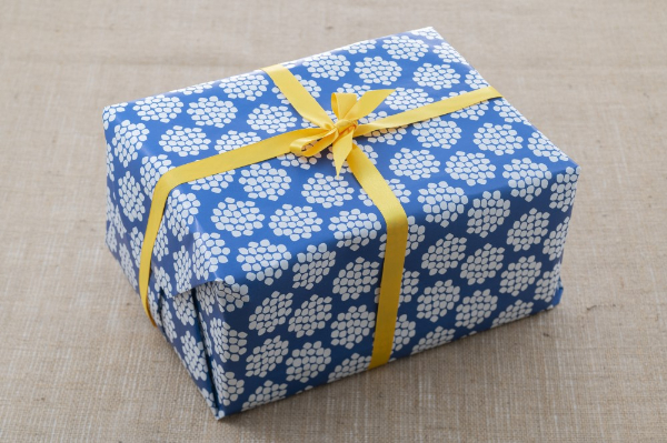 パットライス ポン菓子 金沢製菓 PONGASI 華 コメオコシ ギフト 海街商店 贈答用 母の日 おしゃれ セット お菓子  詰め合わせ 祝い 伊予市｜B64