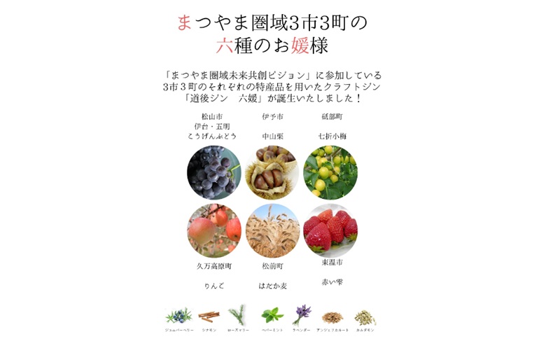 道後ジン 六媛　クラフトジン　スピリッツ　愛媛県産　ボタニカル　500ml｜C02