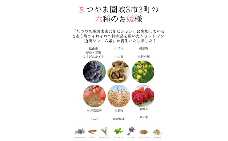 道後ジン　六媛・トニックセット（G6-500）クラフトジン　トニックウォーター　愛媛県産　ボタニカル｜C03