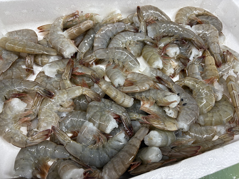 エビフライ 48尾入り 魚屋さんが作った 自家製 おかず えび えびフライ お手軽 惣菜 吉井鮮魚 愛媛 伊予市｜C146