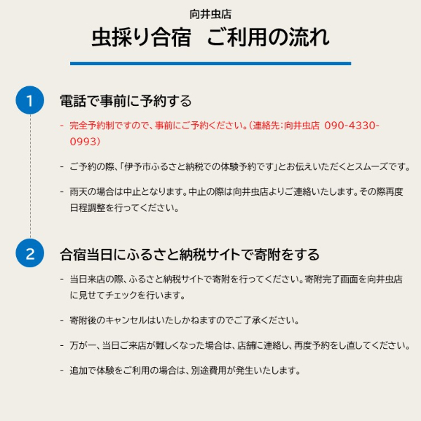 虫採り合宿（カブトムシ・クワガタ）in伊予市～向井虫店プレゼンツ～ 虫採り体験 体験型 虫 虫好き カブトムシ ヒラタクワガタ ノコギリクワガタ コクワガタ 愛媛県 伊予市 | C40