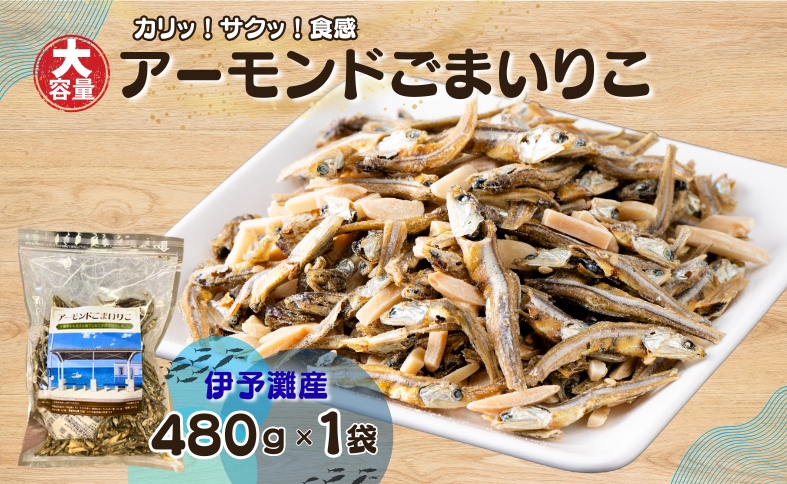 アーモンド小魚 480g×1袋 アーモンドフィッシュ アーモンドごまいりこ カルシウム 給食 オカベ 伊予灘産 伊予市 愛媛｜A108
