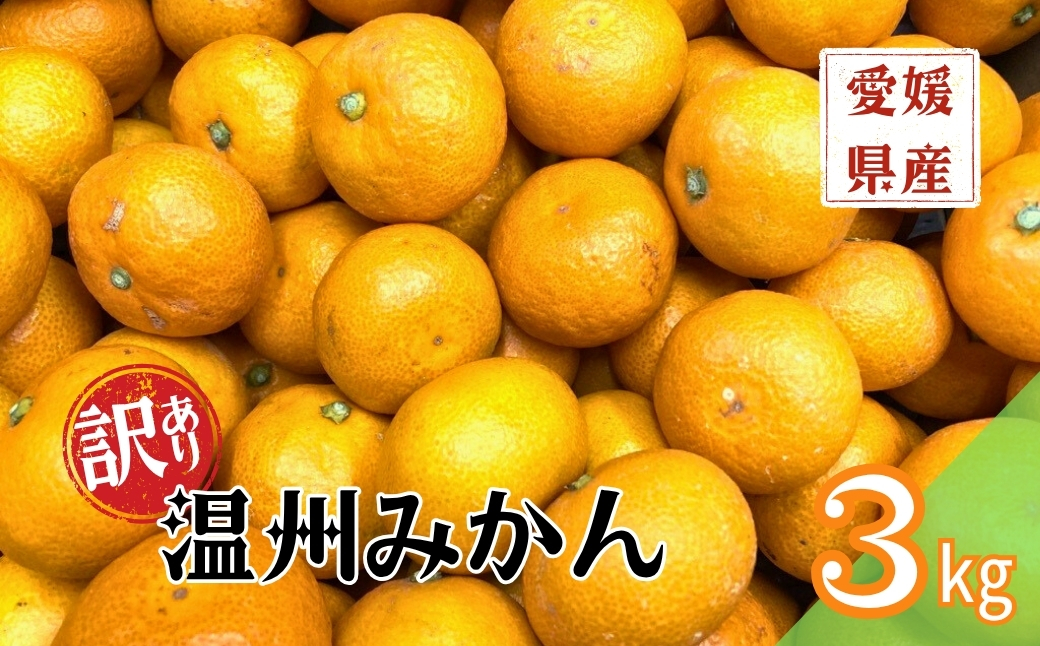 訳あり 温州みかん 3kg ご家庭用 人気 数量限定 先行予約 愛媛 みかん 柑橘 【2025年11月上旬以降発送】｜A109
