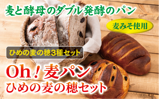 【愛媛県産大麦（はだか麦）使用】Ｏｈ！麦パン　ひめの麦の穂セット　パン　篠崎ベーカリー  詰め合わせ こだわり おすすめ 食べ比べ おやつ 朝ごはん 伊予市 老舗 | A75