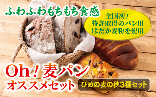 【愛媛県産大麦（はだか麦）使用】Ｏｈ！麦パン オススメセット パン 篠崎ベーカリー  詰め合わせ こだわり おすすめ 食べ比べ おやつ 朝ごはん 伊予市 老舗 | A76