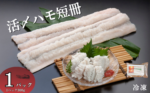 活〆鱧短冊300g 冷凍 鱧 ハモ 鱧短冊 北風鮮魚 愛媛県 伊予市 | A86