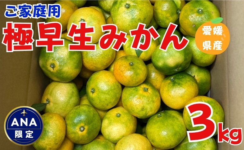 極早生みかん 3kg ご家庭用 農園直送 先行予約 【10月上旬から順次発送予定】 愛媛 数量限定 愛媛県産 人気 柑橘 伊予市｜ A98