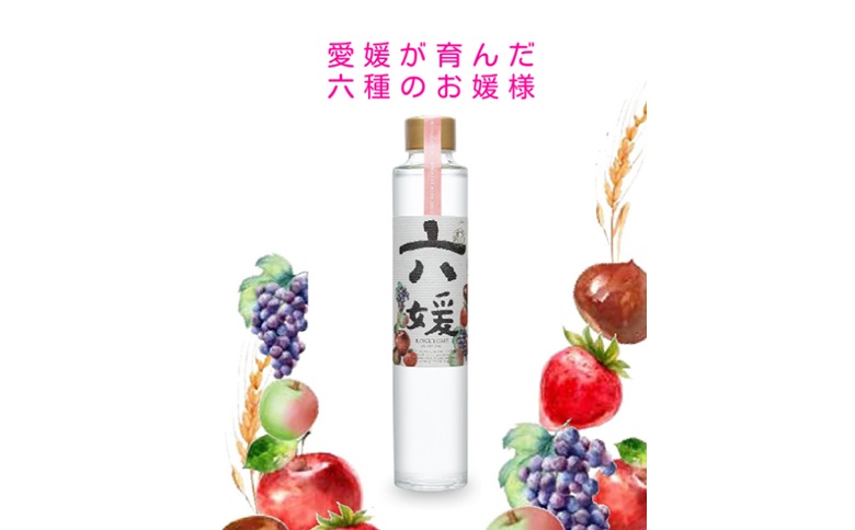 道後ジン 六媛 クラフトジン スピリッツ 愛媛県産 ボタニカル 200ml｜B01