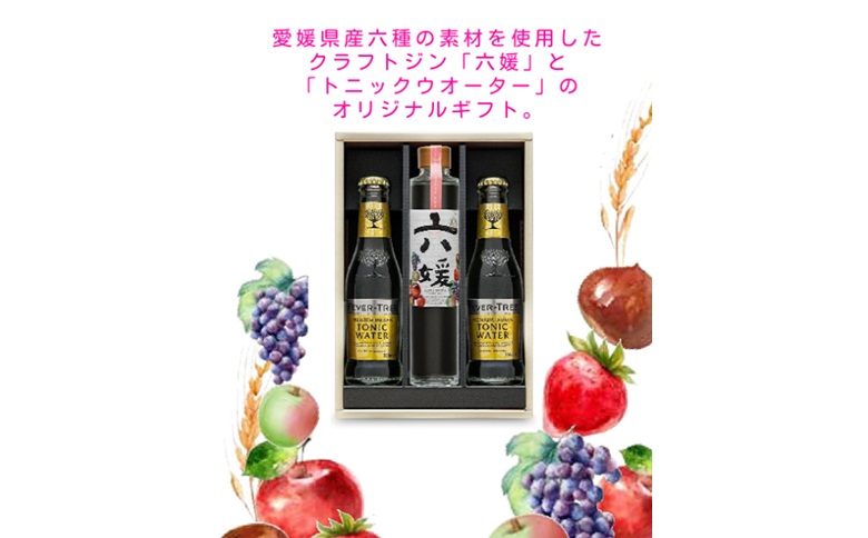 道後ジン　六媛・トニックセット（G6-200）クラフトジン　トニックウォーター　愛媛県産　ボタニカル｜B02