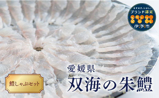 鱧 冷凍 鱧しゃぶセット 鍋 3～4人前 天然鱧 朱鱧 ブランド認定品 うす造り しゃぶしゃぶ 魚介 海鮮 産地直送 スライス 海産物 伊予市 愛媛県産 国産 | B102
