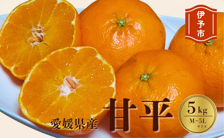 みかん 愛媛 甘平（5kg）サイズM～5L 人気 数量限定 先行予約 柑橘 伊予市 【2026年1月下旬から順次発送予定】｜B104