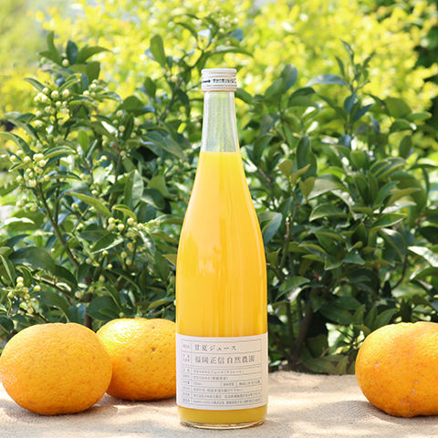 福岡正信自然農園 無添加 甘夏ジュース 1本 みかん 愛媛 人気  柑橘 伊予市｜B117