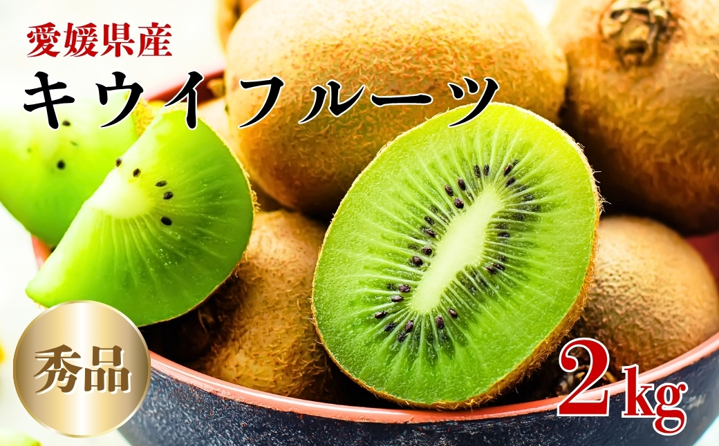 キウイフルーツ 2kg 秀品 【糖度14度～16度】 人気 数量限定 キウイ 愛媛  【2025年11月中旬以降発送】| B152