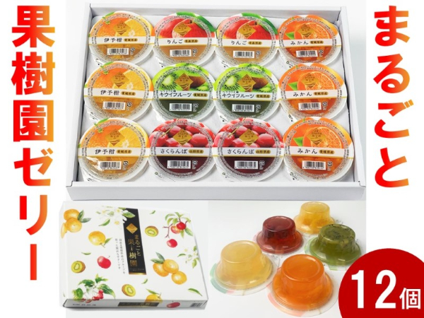 ゼリー ギフト 詰め合わせ 12個 お中元 愛媛県 みかん キウイ 伊予柑 青森産 りんご 山形産 さくらんぼ フルーツゼリー 果物 果汁 果実 フルーツ おやつ デザート 夏ギフト お取り寄せ なめらか 口溶け 子供 大人 国産 食品 送料無料 | B156