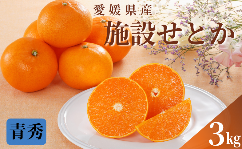 みかん 愛媛 せとか（施設）青秀 約3kg Ｌ～3Ｌ（15玉～10玉） 【2026年1月中旬から順次発送予定】 人気 数量限定 柑橘 伊予市｜B170