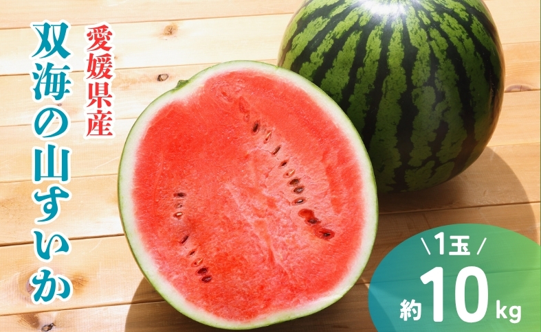 すいか 中山 大玉 スイカ 赤尾の山すいか 双海 約10kg 1玉 赤尾農園 農園直送 先行予約 令和7年産｜B177