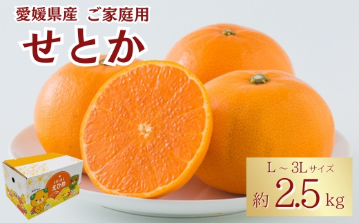 みかん 愛媛 せとか（約2.5kg）L～3Lサイズ ご家庭用 バラ詰め 【2月中旬から順次発送予定】 人気 数量限定 先行予約 みきゃん箱 柑橘 伊予市｜B192