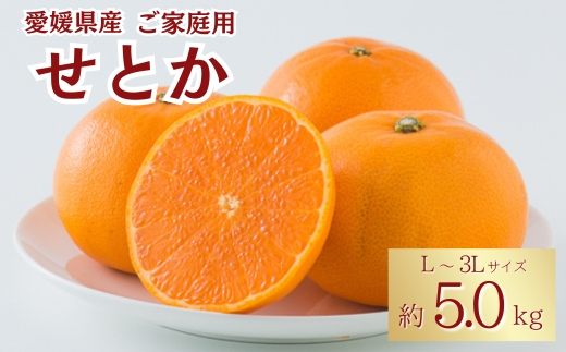 みかん 愛媛 せとか（約5kg）L～3Lサイズ ご家庭用 バラ詰め 【2月中旬から順次発送予定】 人気 数量限定 先行予約 柑橘 伊予市｜B193