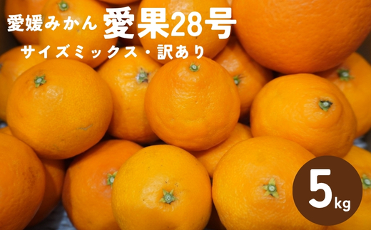訳あり 愛果28号 5kg サイズミックス 【2025年12月以降発送】 紅まどんなと同一品種 みかん 愛媛 数量限定 先行予約 柑橘 伊予市｜B220