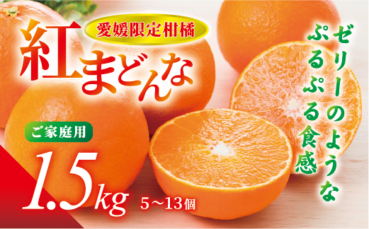 紅まどんな 1.5kg (5～13個) ご家庭用 愛媛みかん 愛果28号 紅マドンナ まどんな マドンナ みかん ミカン 蜜柑 果物 くだもの フルーツ 柑橘 かんきつ 柑橘類 愛媛果試第28号 あいか おすすめ 人気 自宅用 お取り寄せ 国産 愛媛 伊予市 【先行予約】 【数量限定】 ＜2025年11月下旬～順次発送＞｜B249
